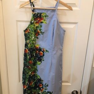 Maeve by Anthropologie Orange Bough dress